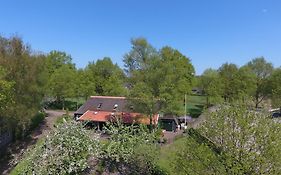 Rheezerstee